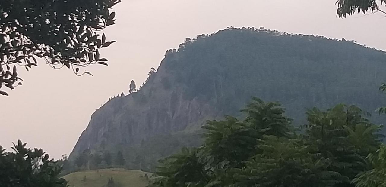 Mature Home Ела Екстериор снимка